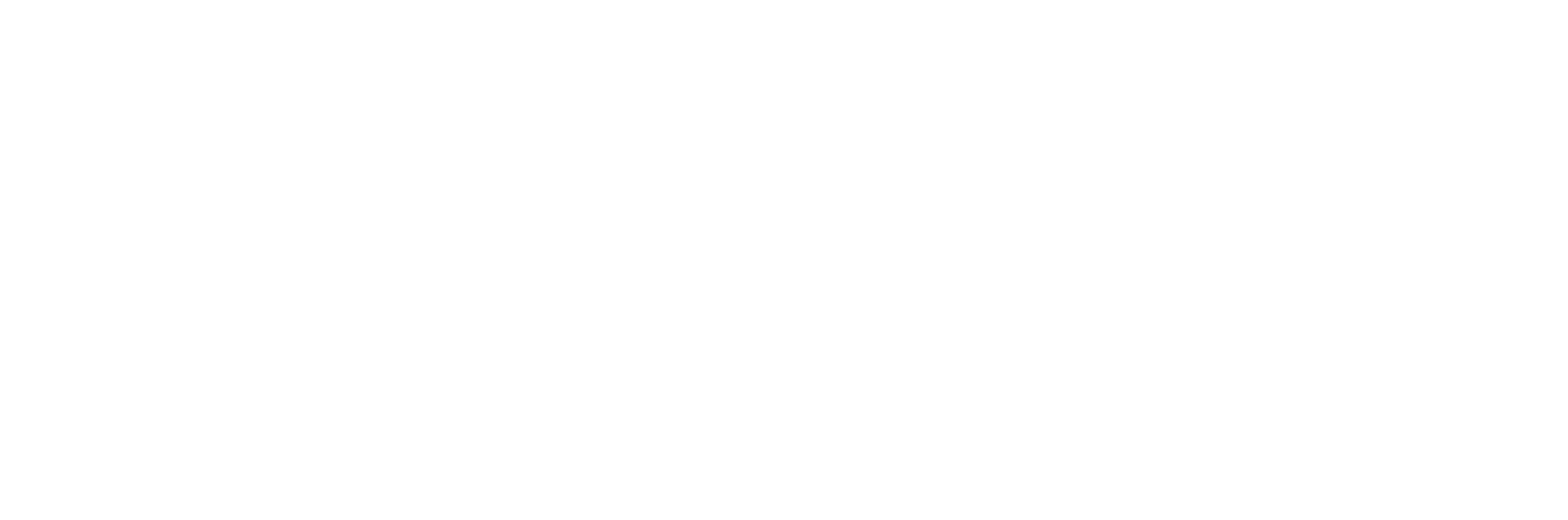 Монастырский, Зюба, Степанов & Партнеры